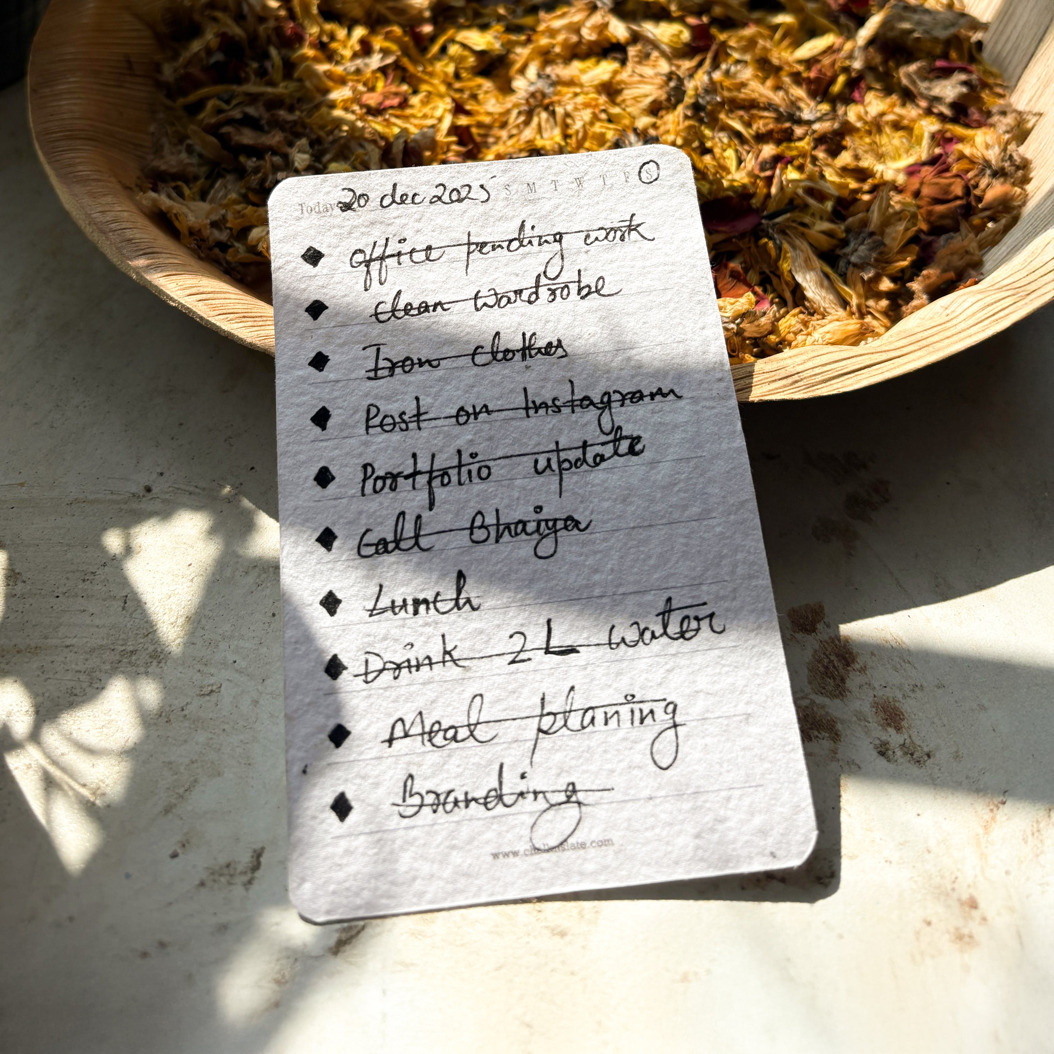 Plantable To-Do Cards (Set of 15) | Write. Do. Grow.