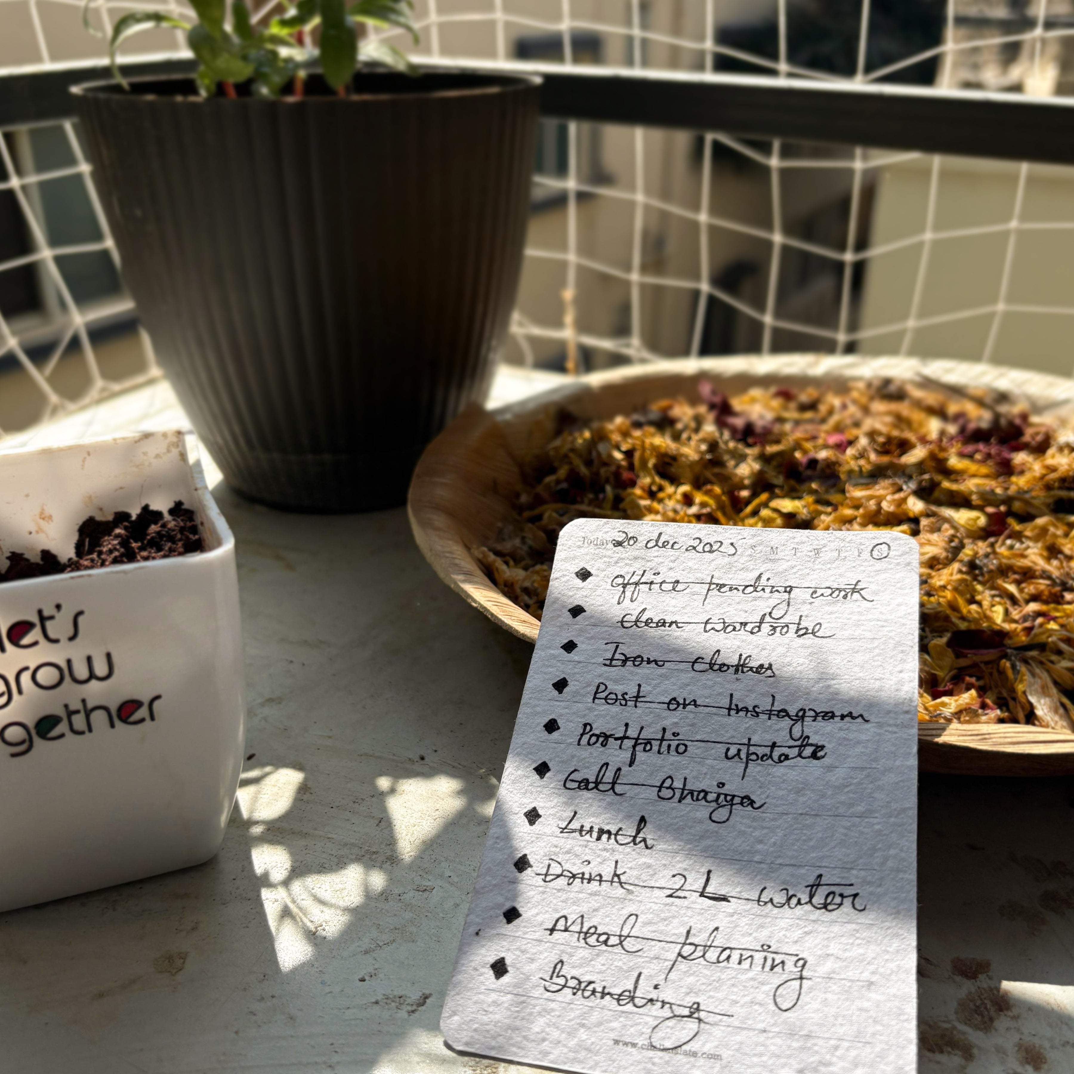 Plantable To-Do Cards (Set of 15) | Write. Do. Grow.